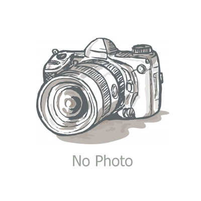 Countersunk 10gx65 500